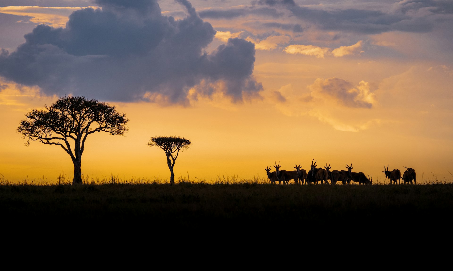 Maasai Mara Sunset